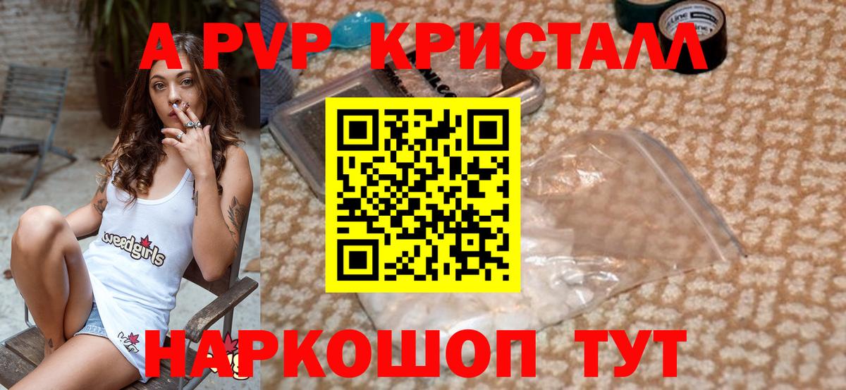 A PVP СК КРИС Архангельск