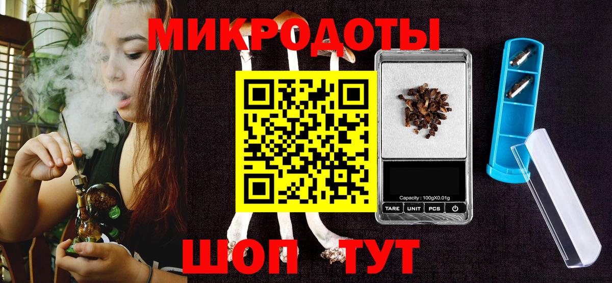 Галлюциногенные грибы Psilocybine cubensis Архангельск