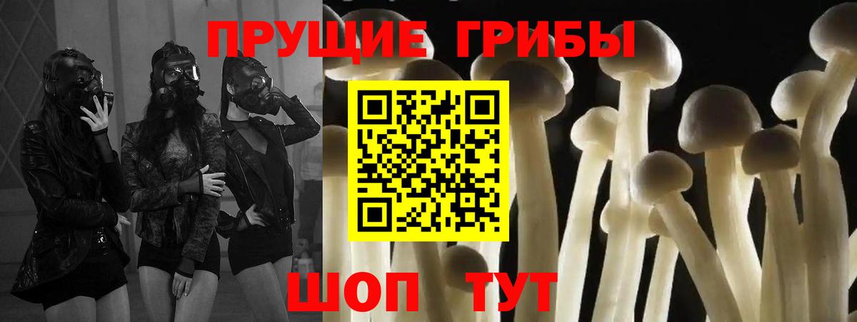 где купить наркоту  Псилоцибиновые грибы Cubensis  Вход с VPN  Архангельск 